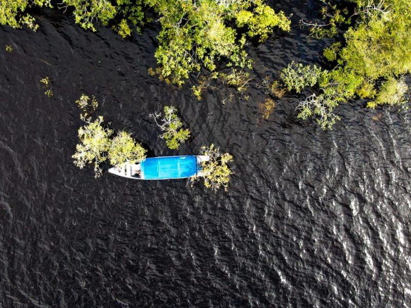 Passeios Turísticos em Novo Airão