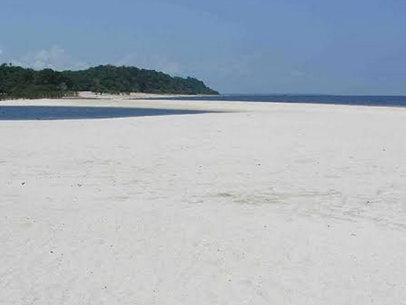 Passeios Turísticos em Novo Airão